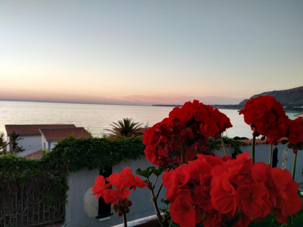 Villa Sul Mare Palazzolo Trappeto  Exteriör bild